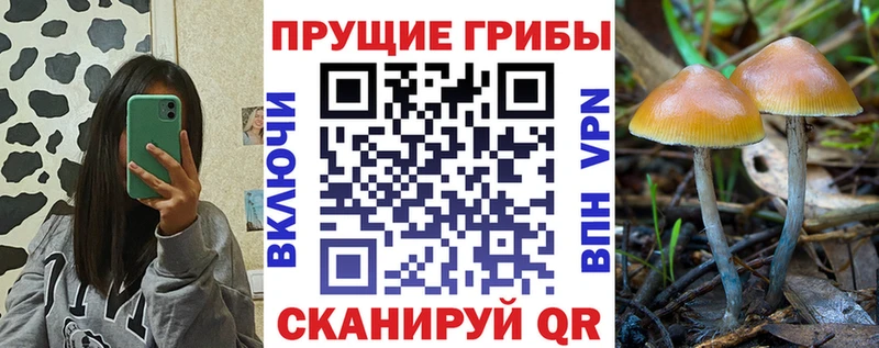 Галлюциногенные грибы Psilocybine cubensis  маркетплейс телеграм  Усть-Катав  где найти  